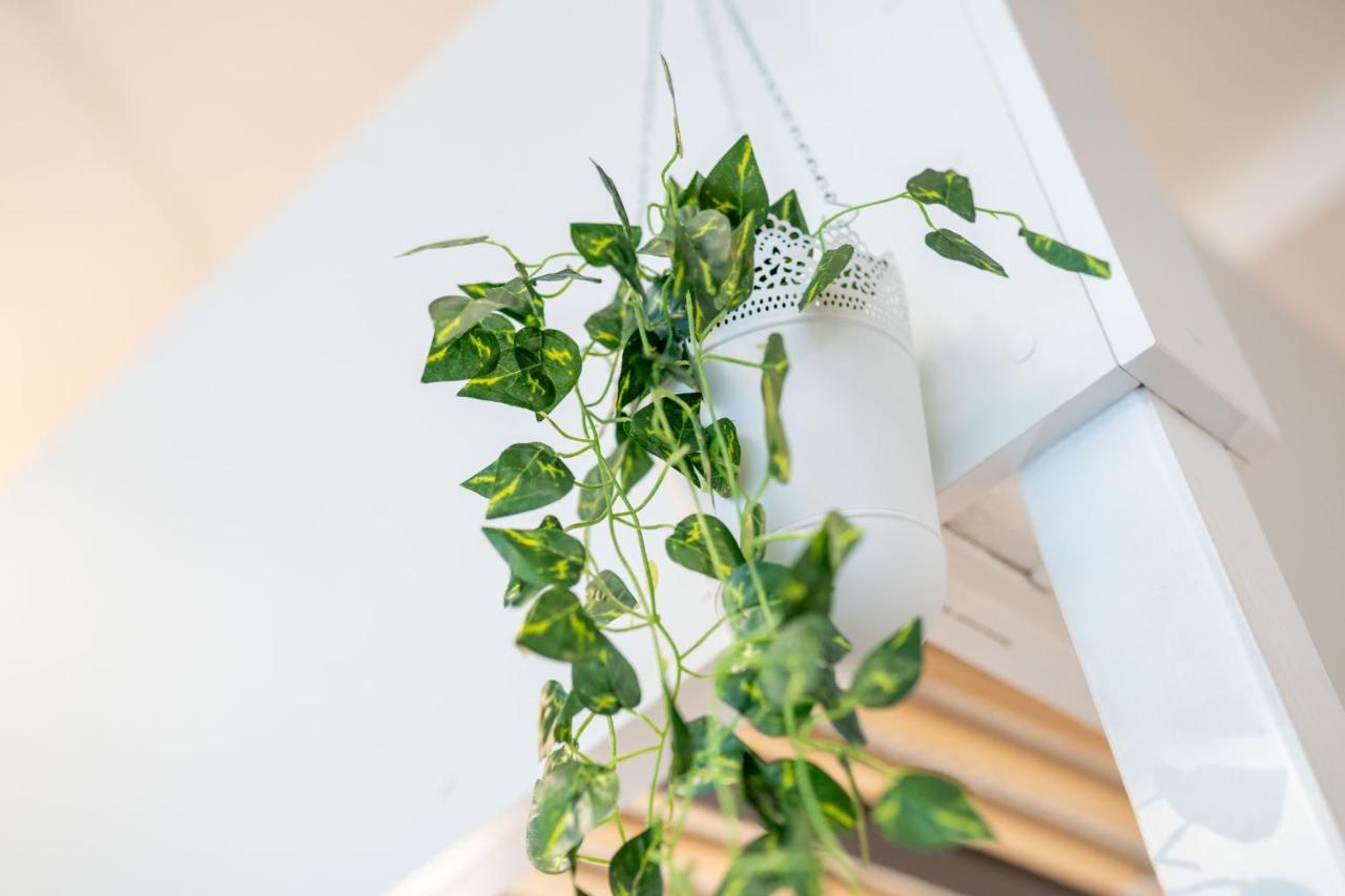 Cozy Modern Nest In The Heart Of Vienna With Netflix Lägenhet Exteriör bild